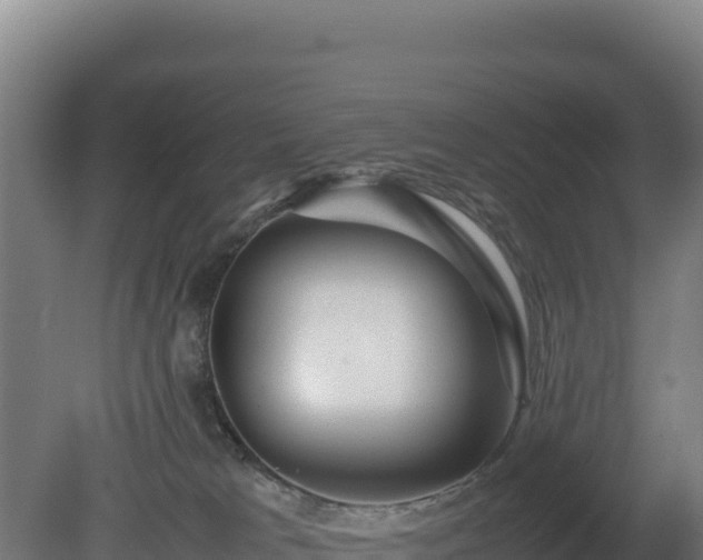 X0000081450037200701191725