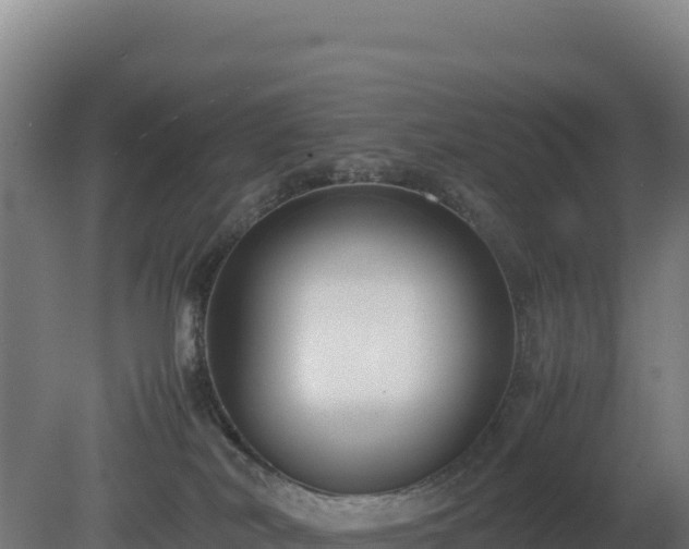 X0000081450038200701191725