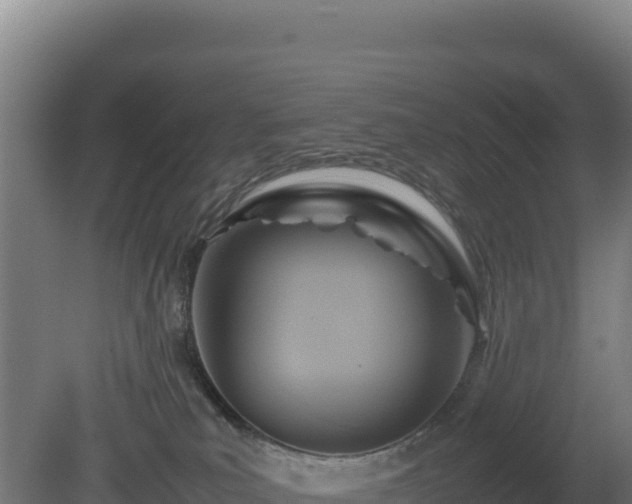 X0000081450039200701191725