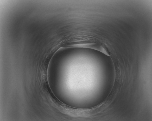 X0000081450040200701191725