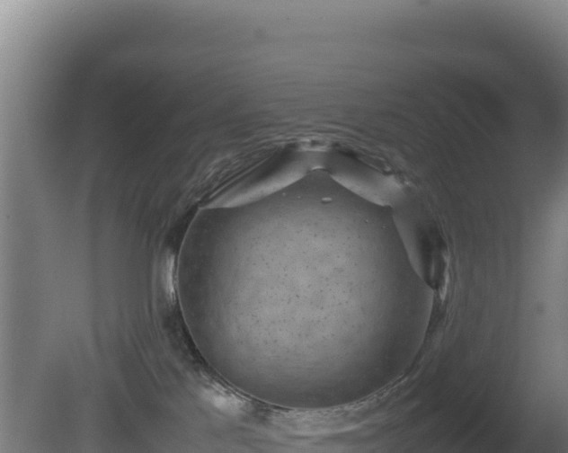 X0000081450041200701191725