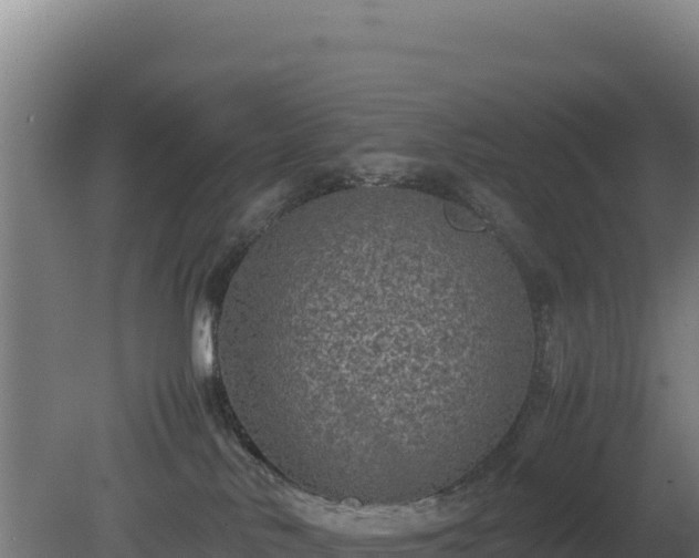 X0000081450042200701191725