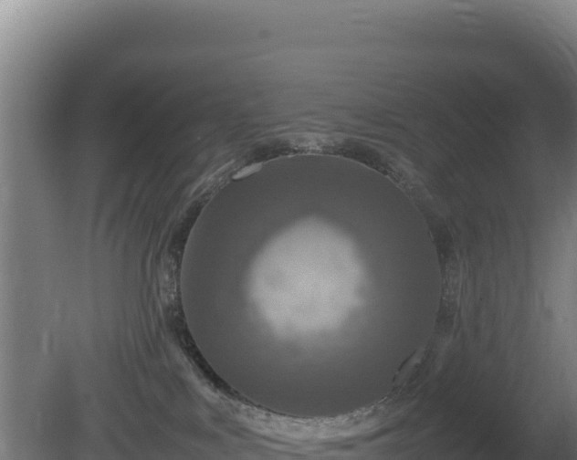 X0000081450043200701191725