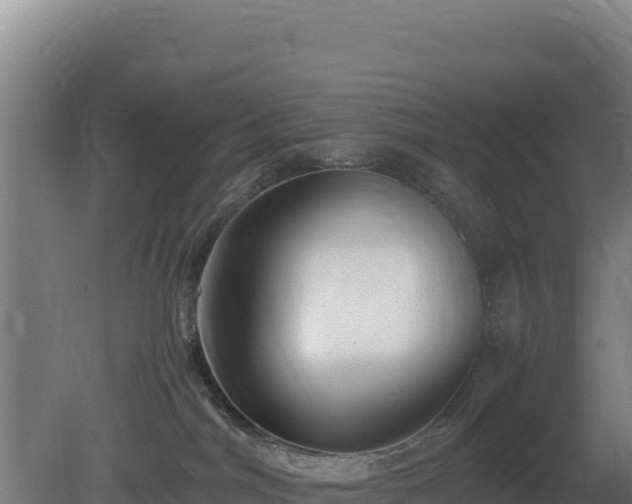 X0000081450044200701191725