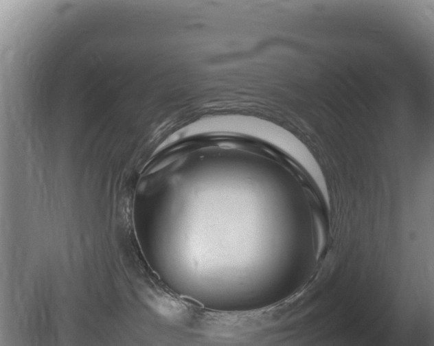 X0000081450045200701191725