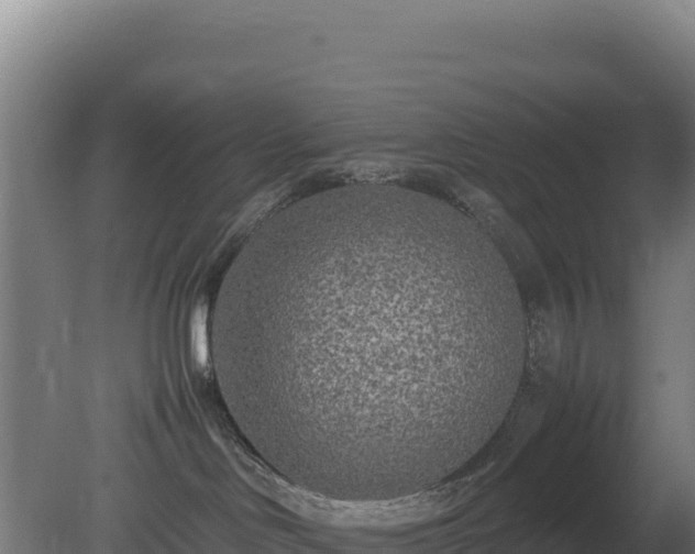 X0000081450046200701191725