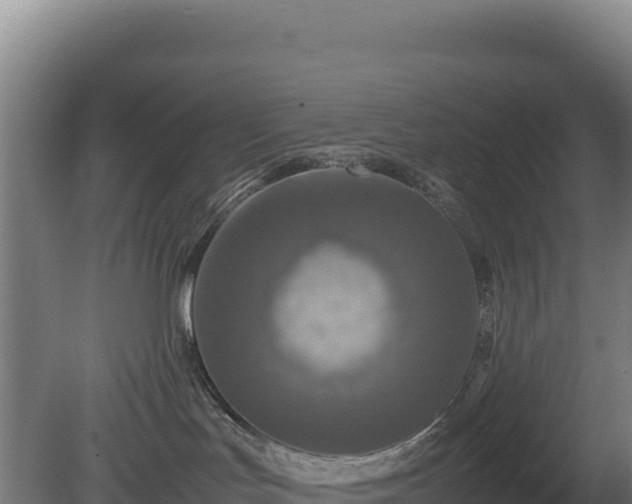 X0000081450047200701191725