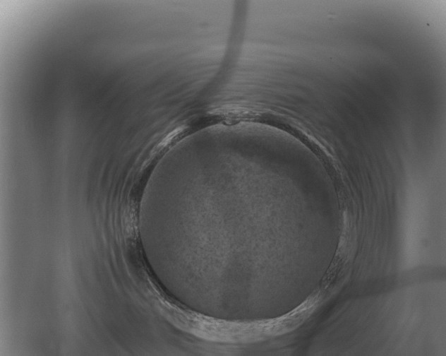 X0000081450048200701191725