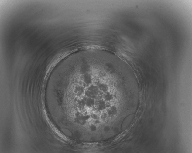 X0000081450049200701191724