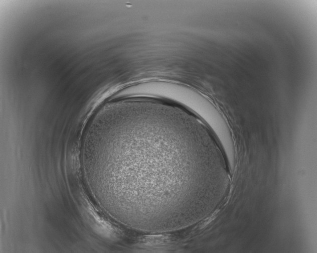 X0000081450050200701191724