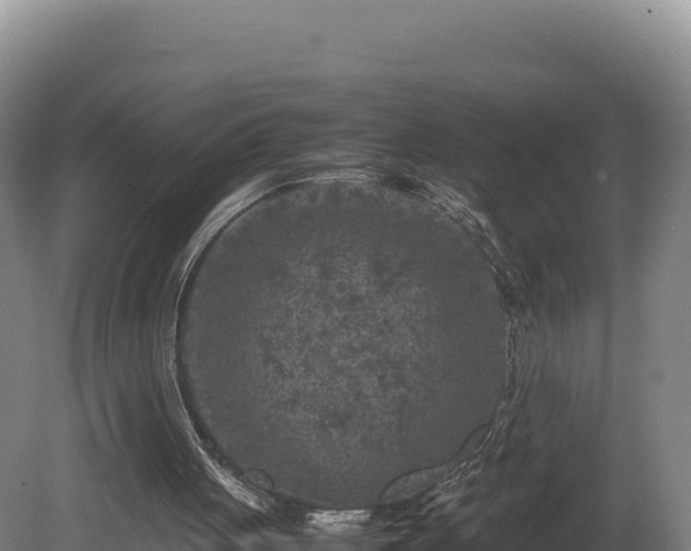 X0000081450051200701191724