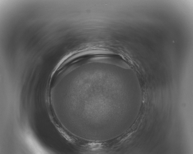 X0000081450052200701191724