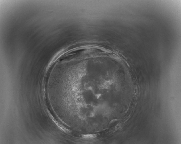 X0000081450053200701191724