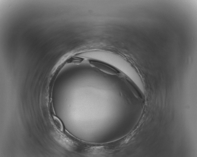 X0000081450054200701191724