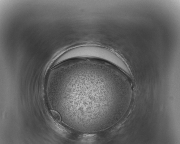 X0000081450055200701191724