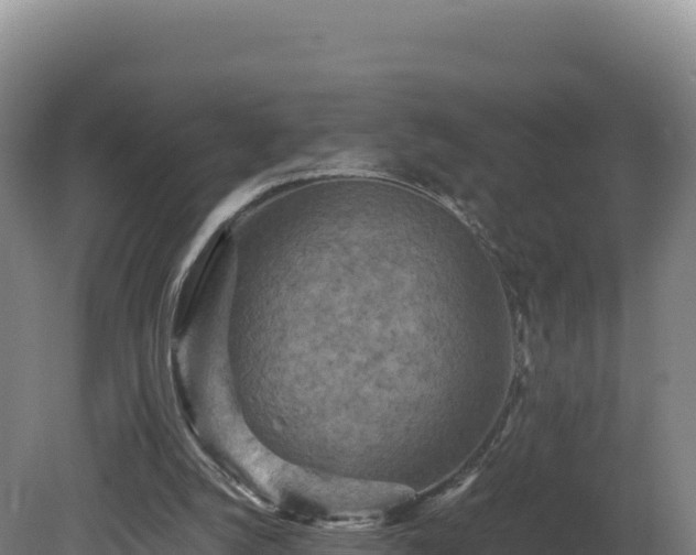 X0000081450056200701191724