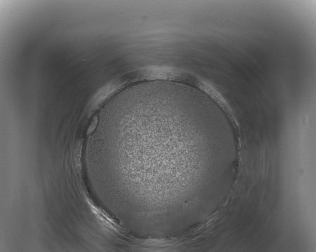 X0000081450058200701191724