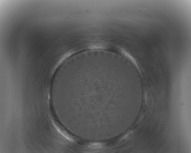 X0000081450059200701191724