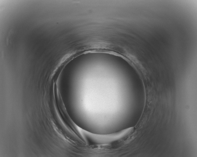 X0000081450060200701191724