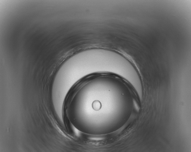 X0000081450061200701191724