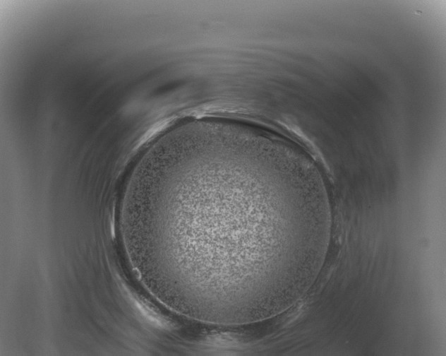 X0000081450062200701191724