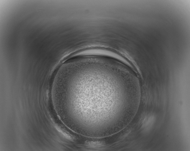 X0000081450063200701191724