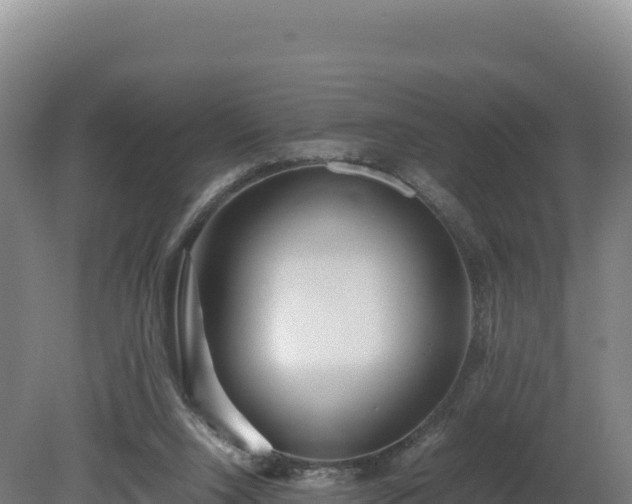 X0000081450064200701191724