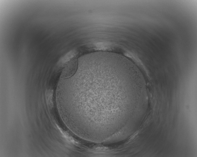 X0000081450066200701191724