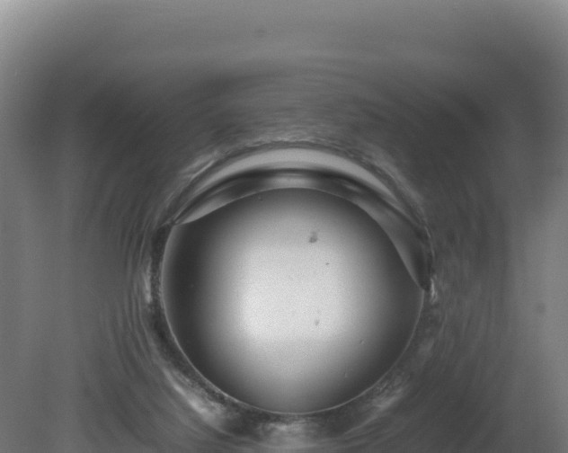 X0000081450068200701191725