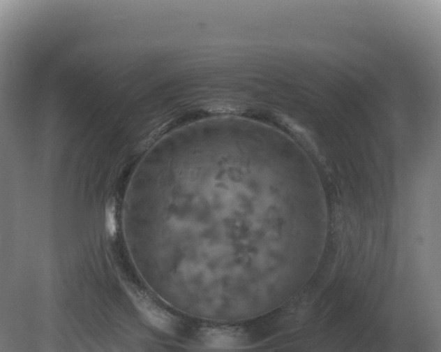 X0000081450069200701191725