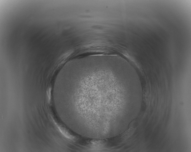 X0000081450070200701191725