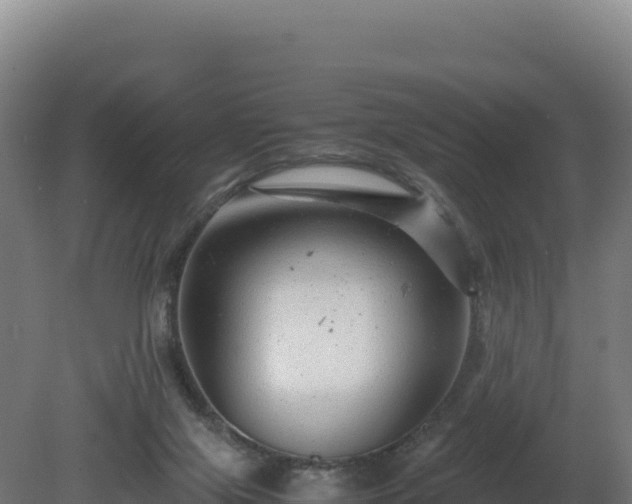 X0000081450071200701191725