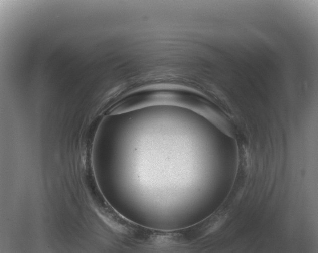 X0000081450072200701191725