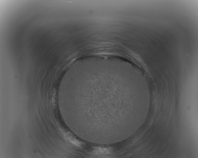 X0000081450073200701191725