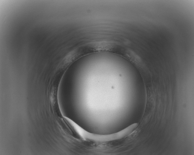 X0000081450074200701191725