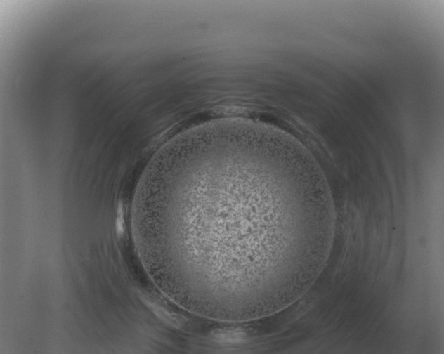 X0000081450075200701191725