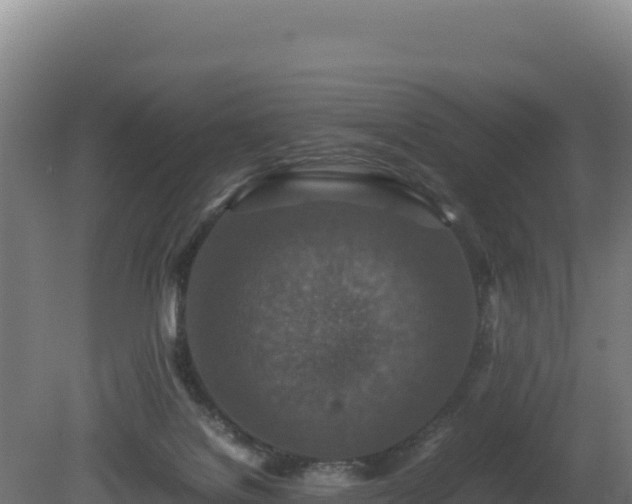 X0000081450076200701191725