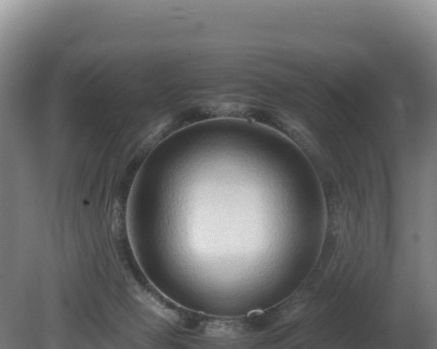 X0000081450077200701191725