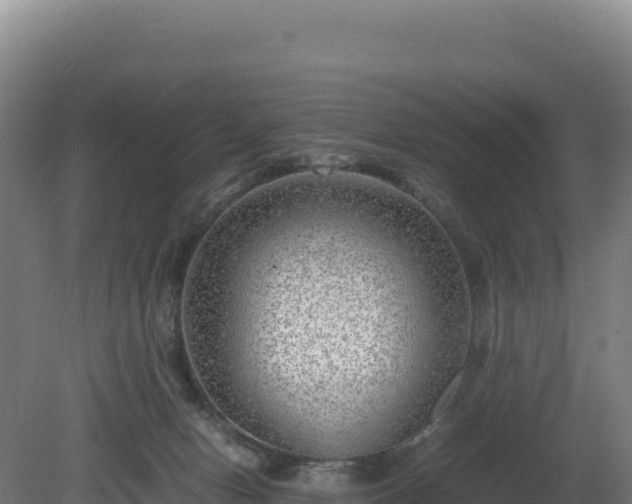 X0000081450078200701191725