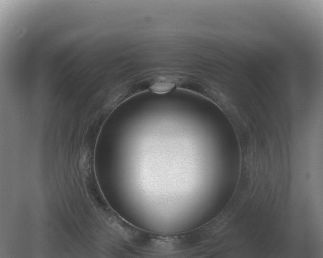 X0000081450079200701191725