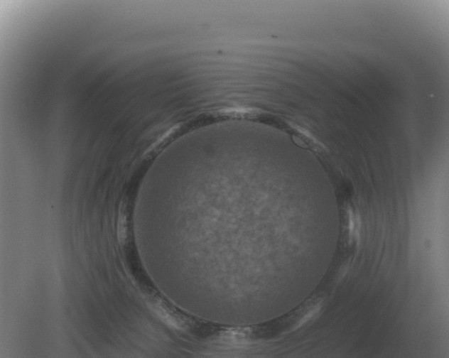 X0000081450080200701191725