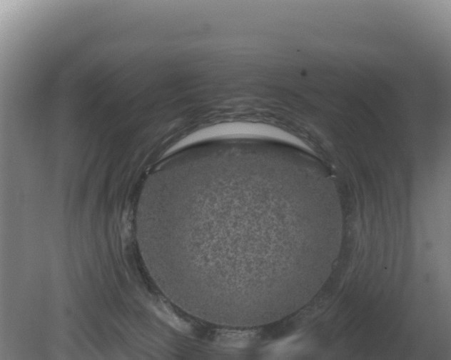 X0000081450081200701191725