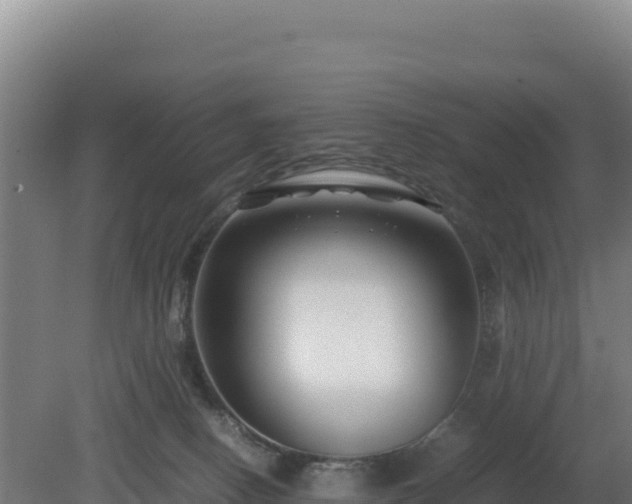 X0000081450082200701191725