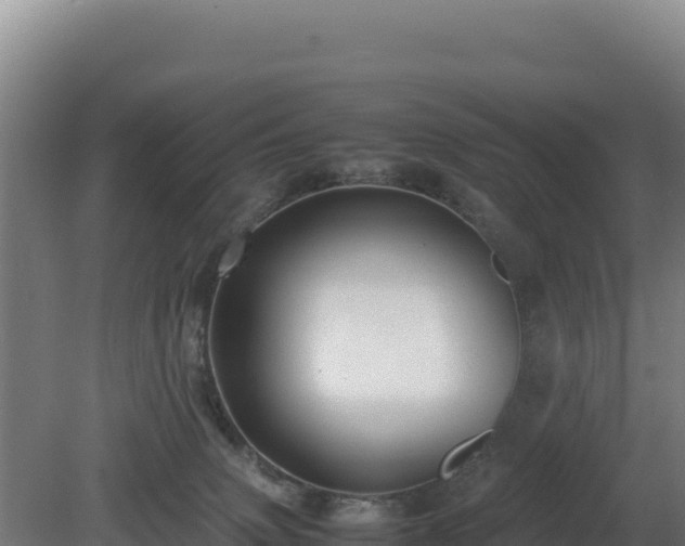 X0000081450083200701191725