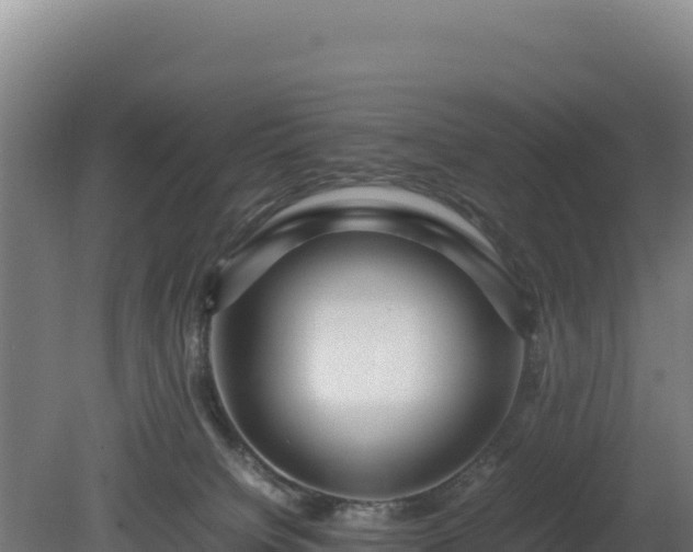 X0000081450084200701191725