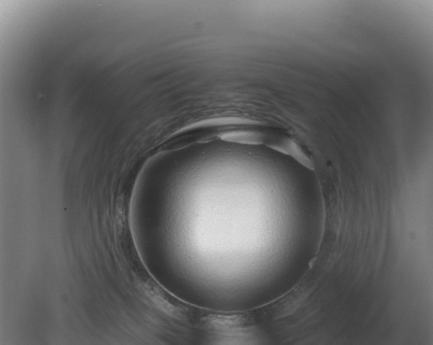 X0000081450085200701191725