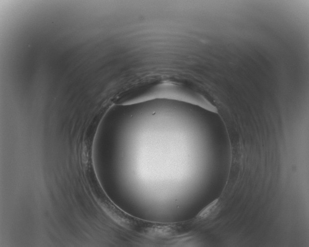 X0000081450086200701191725