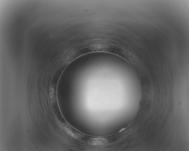 X0000081450087200701191725