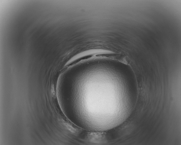 X0000081450089200701191725