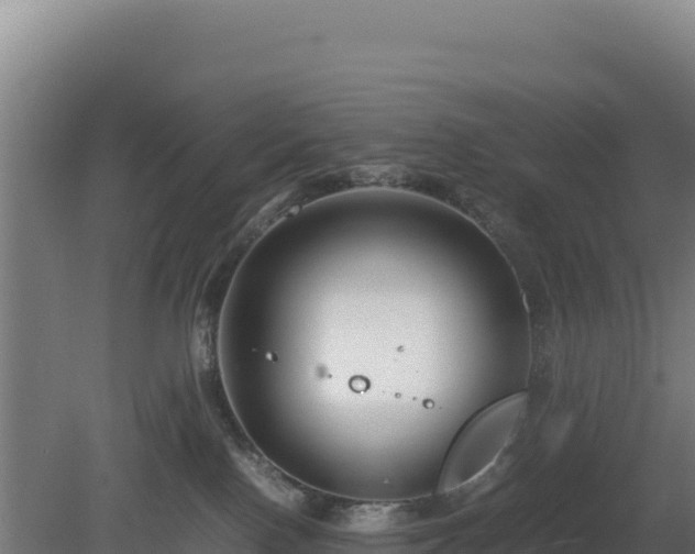 X0000081450090200701191725